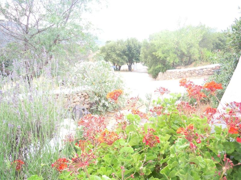 Agriturismo Camisadu - Genel