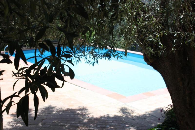 Azienda Agrituristica Le Puzelle - Aktivite