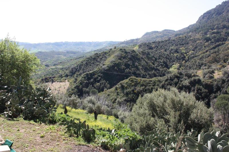 Azienda Agrituristica Le Puzelle - Genel