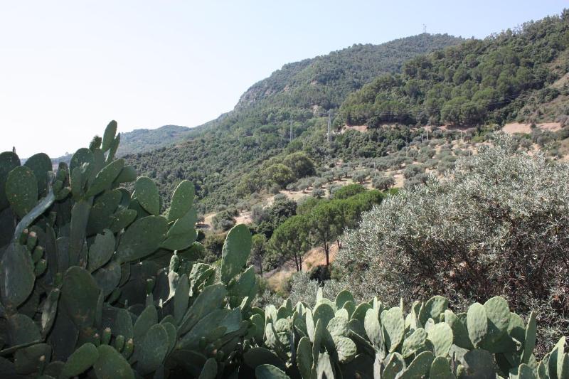 Azienda Agrituristica Le Puzelle - Genel