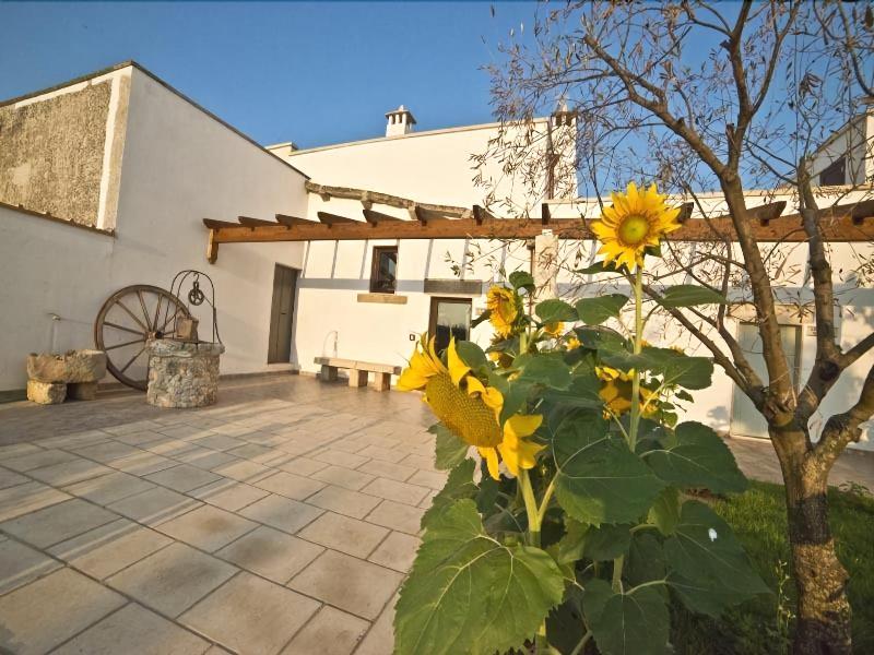 Masseria Cinti - Genel