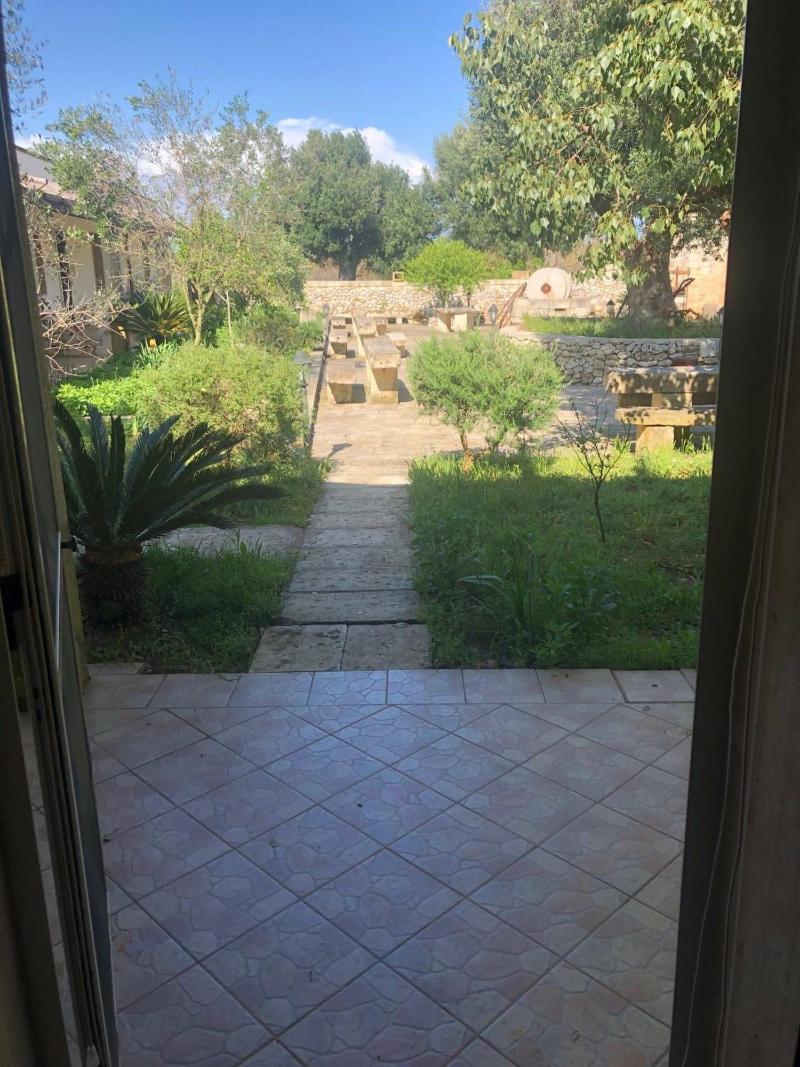 Masseria Cinti - Oda