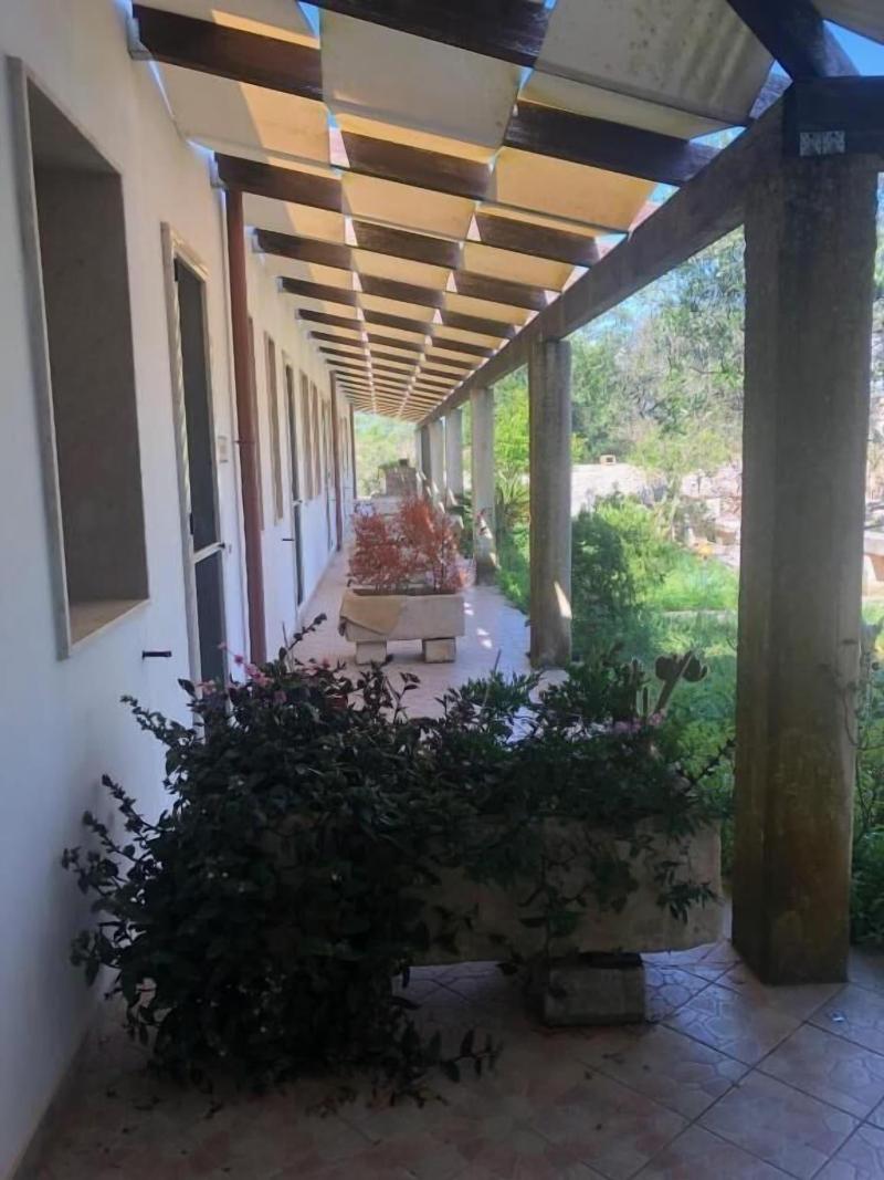 Masseria Cinti - Oda