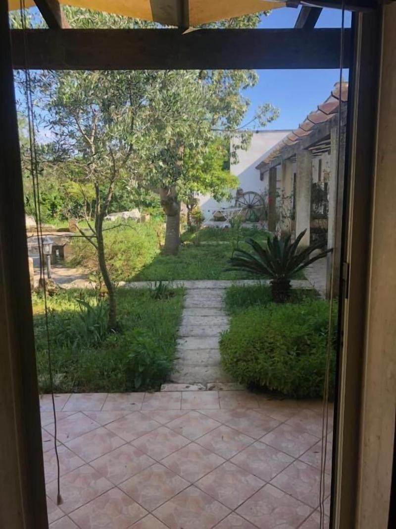Masseria Cinti - Oda