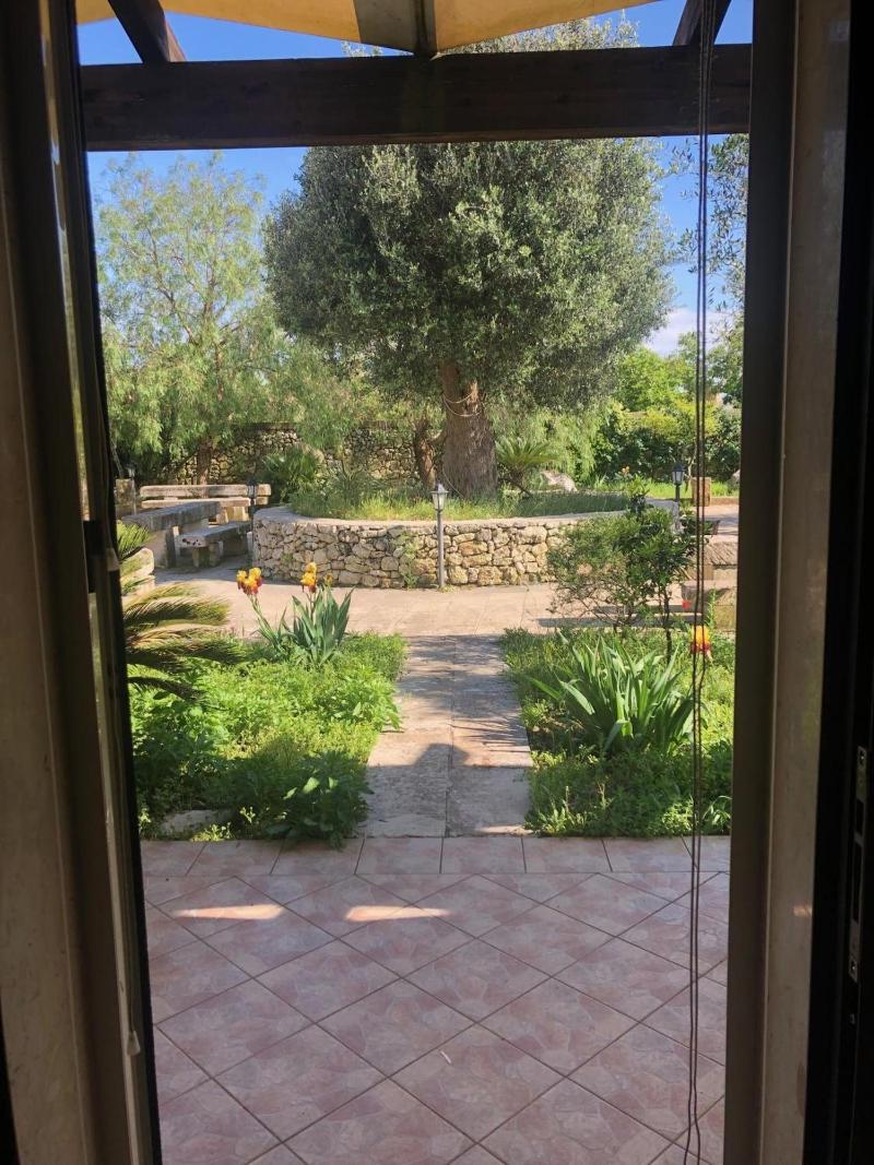 Masseria Cinti - Oda
