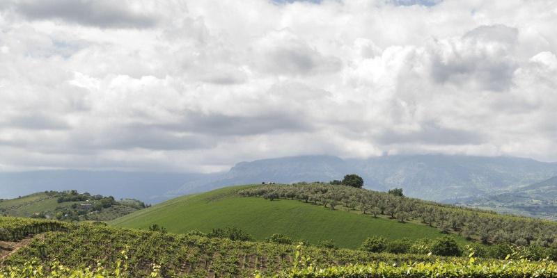 Masseria Ciavolich - Genel