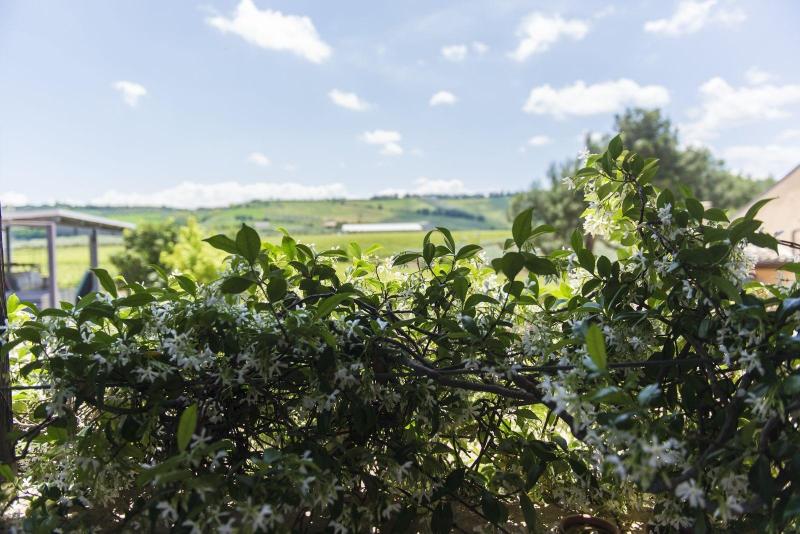 Masseria Ciavolich - Genel