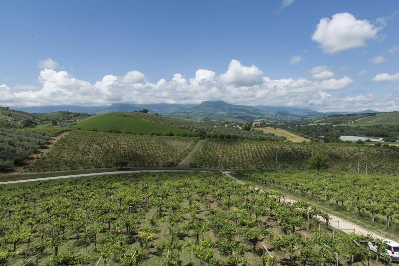 Masseria Ciavolich - Genel
