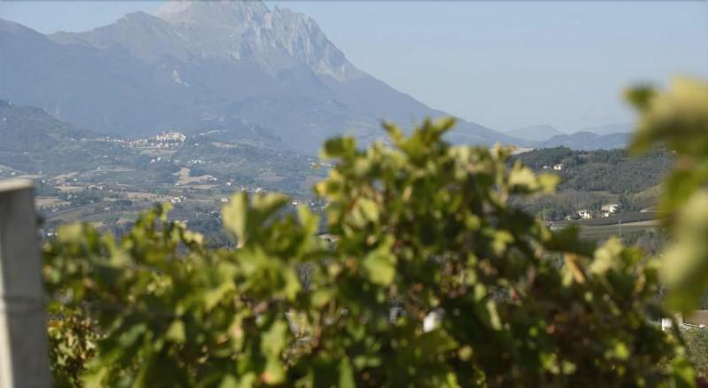 Masseria Ciavolich - Oda