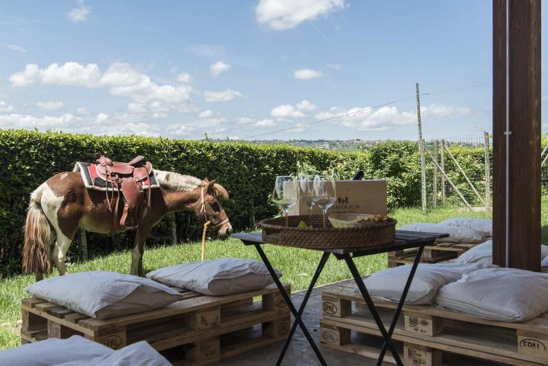 Masseria Ciavolich - Teras