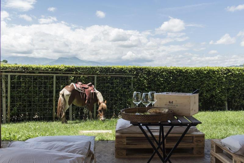 Masseria Ciavolich - Teras