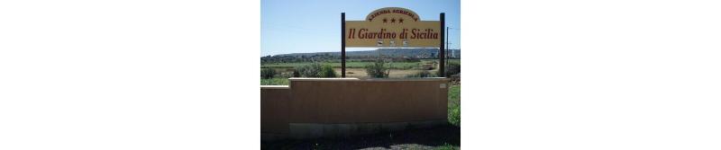 Il Giardino Di Sicilia - Genel