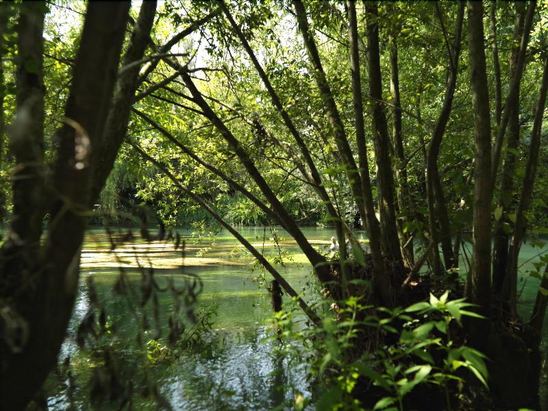 Agriturismo Cà dei Molini - Oda