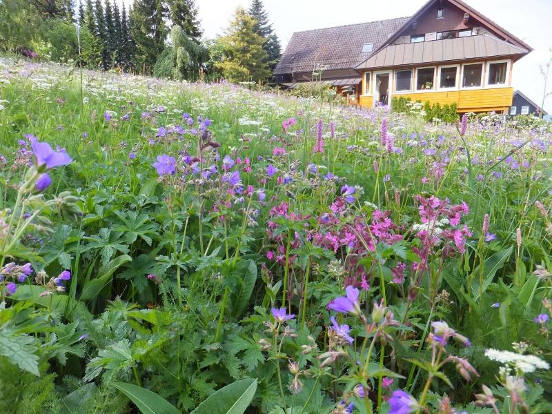 Landhaus Fischer - Genel