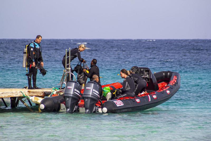Marsa Shagra Village - Aktivite