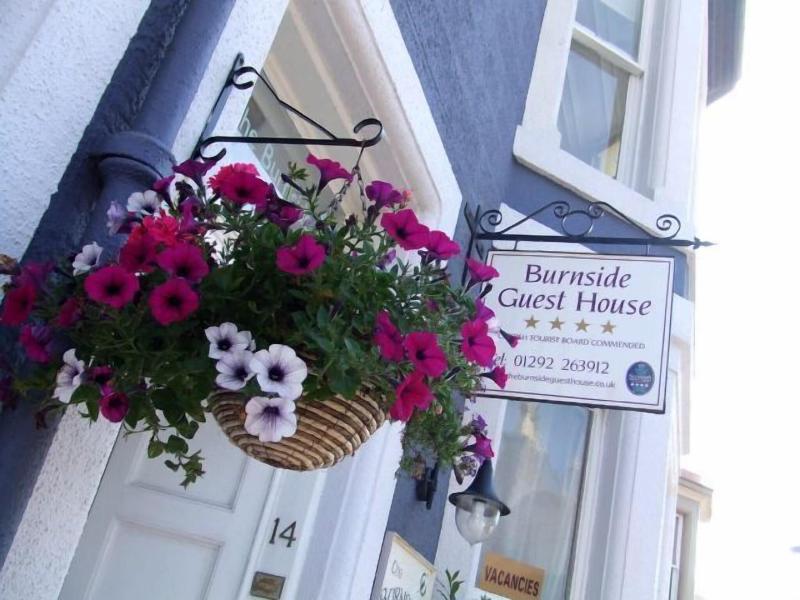 The Burnside Guest House - Aktivite