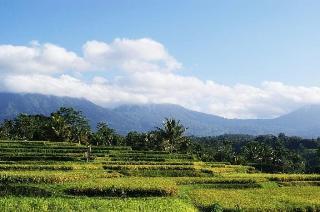 Ti Amo Bali fotoÄŸrafÄ±