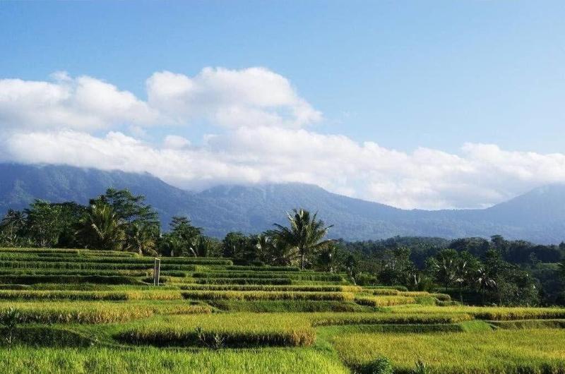 Ti Amo Bali - Genel