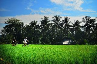Capella Ubud, Bali fotoÄŸrafÄ±