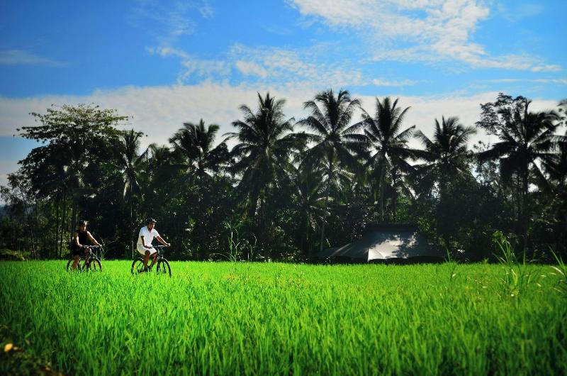 Capella Ubud, Bali - Aktivite