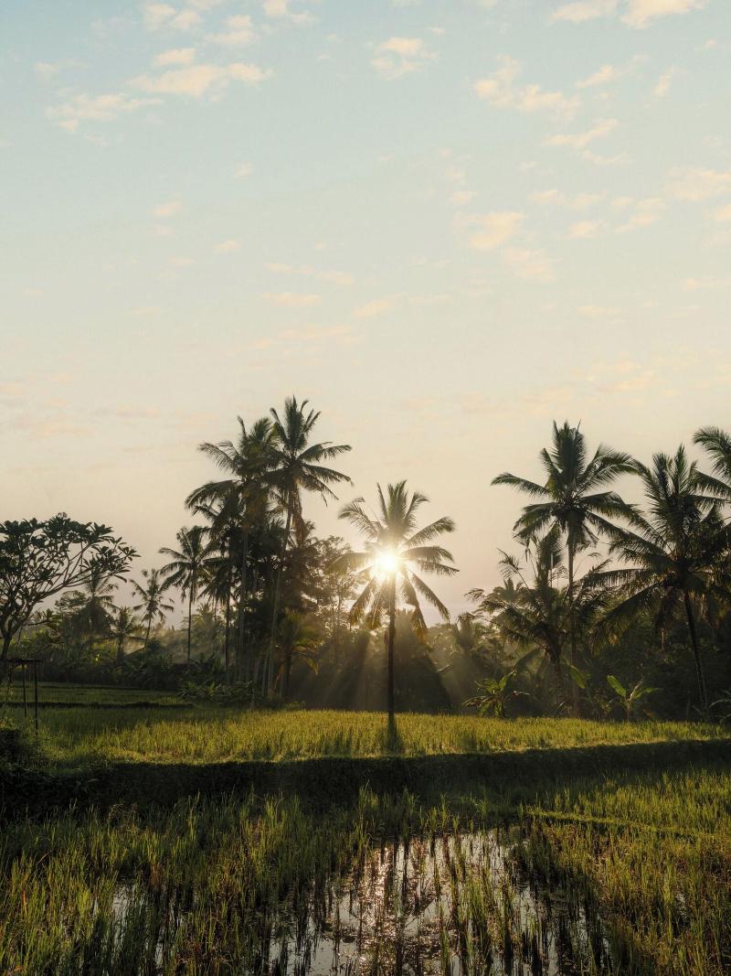 Capella Ubud, Bali - Aktivite