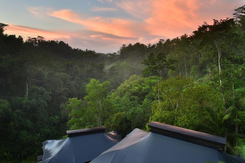 Capella Ubud, Bali - Aktivite