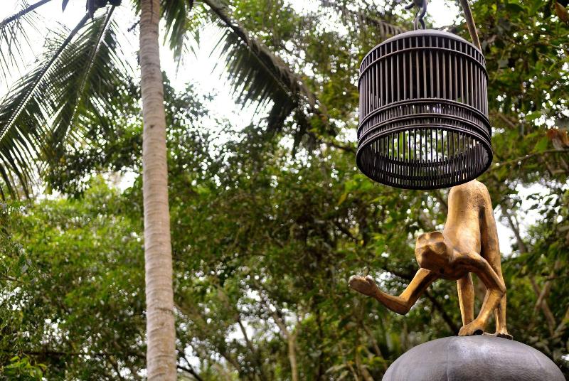 Capella Ubud, Bali - Aktivite
