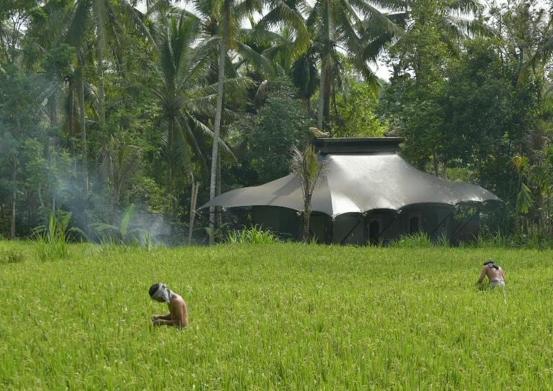 Capella Ubud, Bali - Genel
