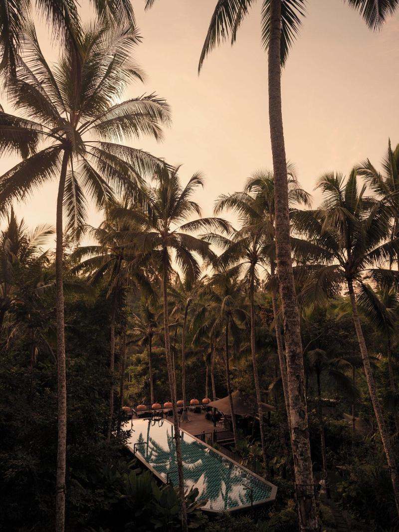 Capella Ubud, Bali - Genel