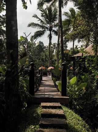 Capella Ubud, Bali fotoÄŸrafÄ±