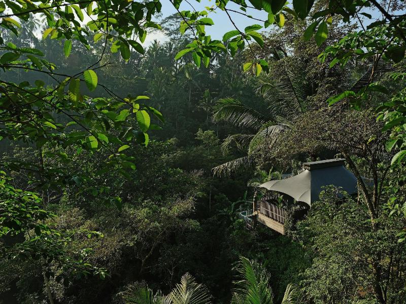 Capella Ubud, Bali - Oda