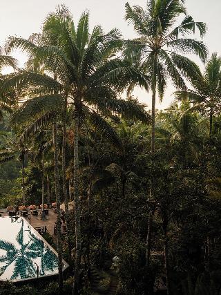 Capella Ubud, Bali fotoÄŸrafÄ±
