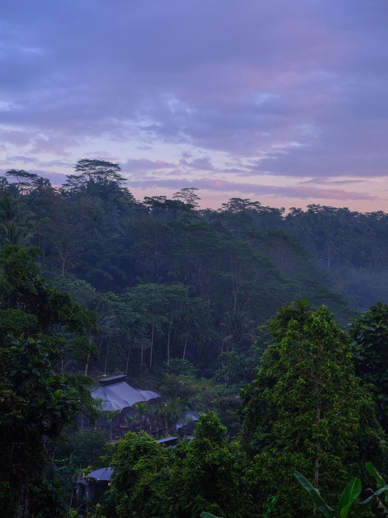 Capella Ubud, Bali - Teras