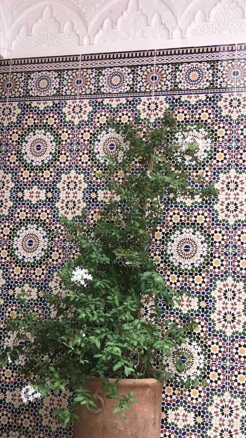 Dar Dikrayat - Genel