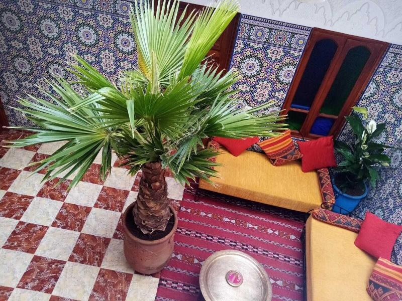 Dar Dikrayat - Oda
