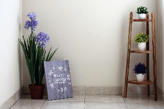 Cameng Homestay fotoÄŸrafÄ±
