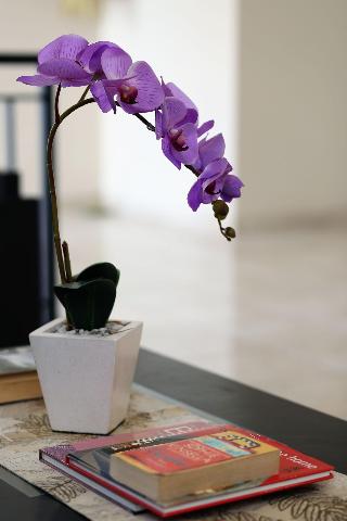 Cameng Homestay fotoÄŸrafÄ±