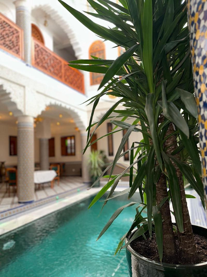 Riad Mazar Fes - Aktivite