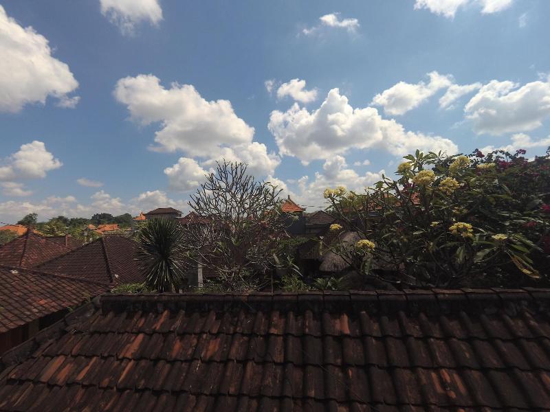 Rumah Ary Homestay & Spa - Genel