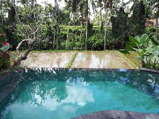 Villa Kirani Ubud fotoÄŸrafÄ±