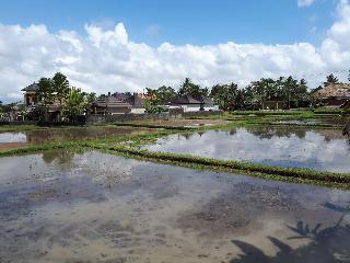 Villa Kirani Ubud fotoÄŸrafÄ±