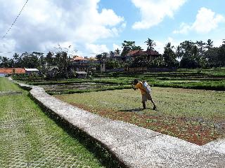 Villa Kirani Ubud fotoÄŸrafÄ±