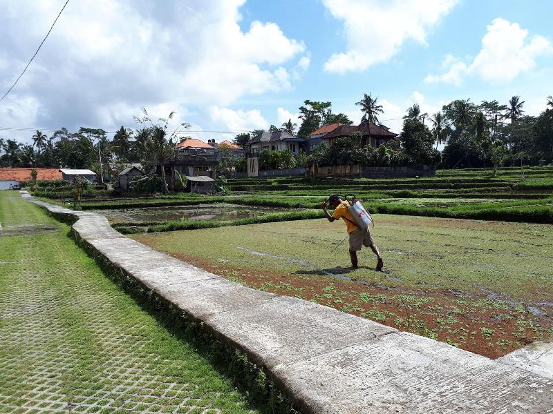 Villa Kirani Ubud - Genel