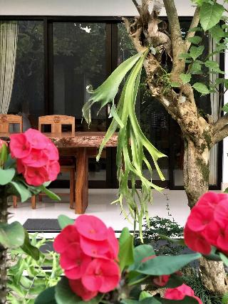 The Hidden Bali Inn fotoÄŸrafÄ±
