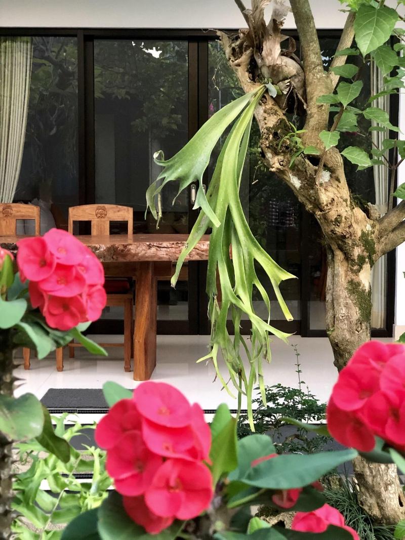 The Hidden Bali Inn - Genel