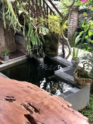 The Hidden Bali Inn fotoÄŸrafÄ±