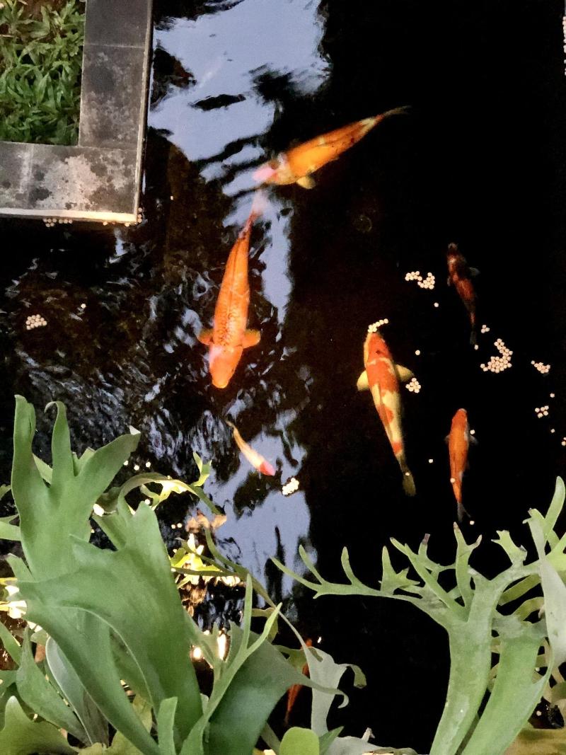 The Hidden Bali Inn - Genel