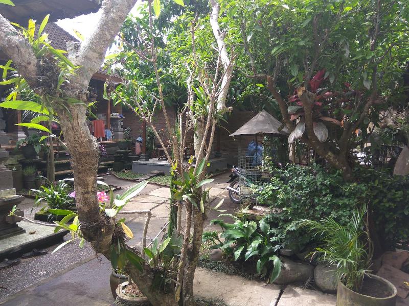 The Hidden Bali Inn - Genel