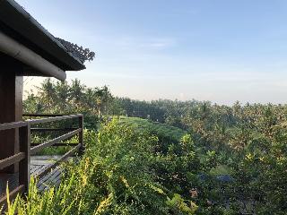 Soulshine Bali otel fotoğrafı