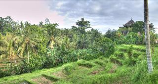 Soulshine Bali fotoÄŸrafÄ±